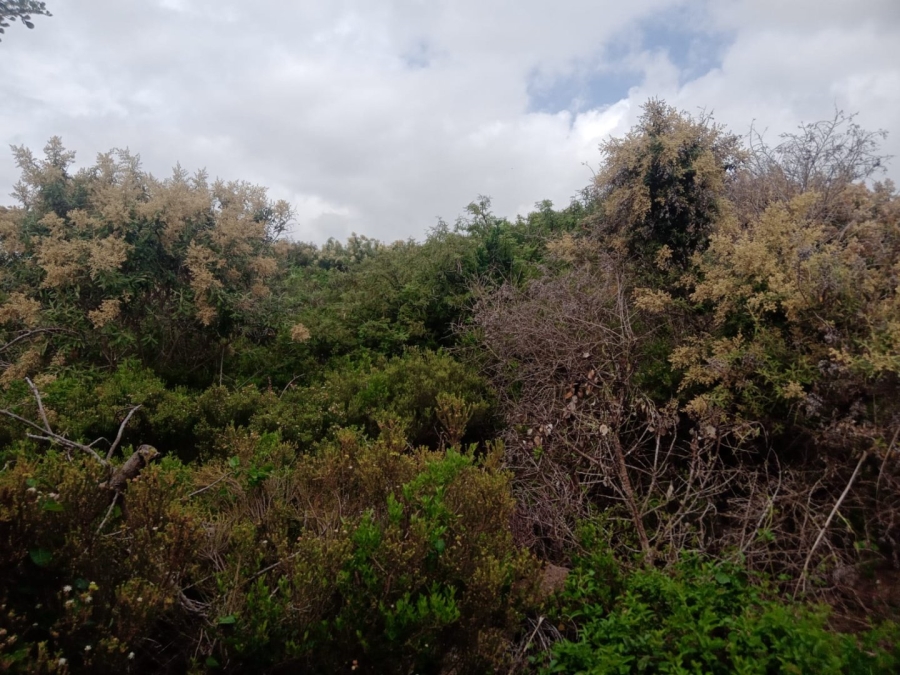 Commercial Property for Sale in Aston Bay Eastern Cape